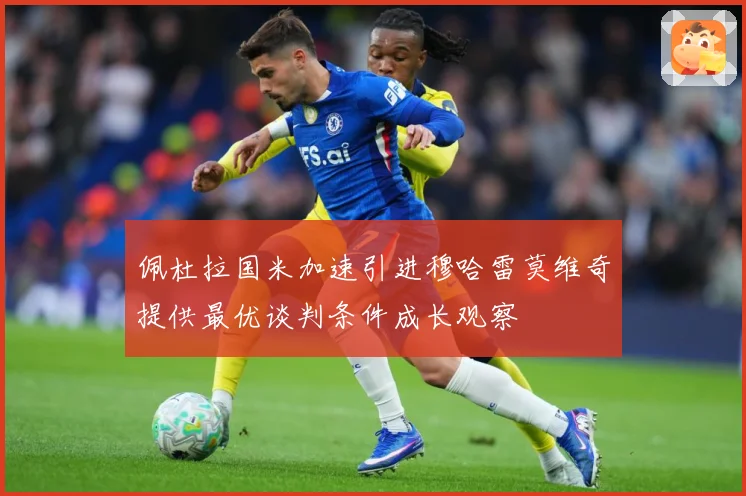 佩杜拉国米加速引进穆哈雷莫维奇提供最优谈判条件成长观察