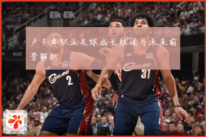 卢卡库职业足球成长轨迹与未来前景解析