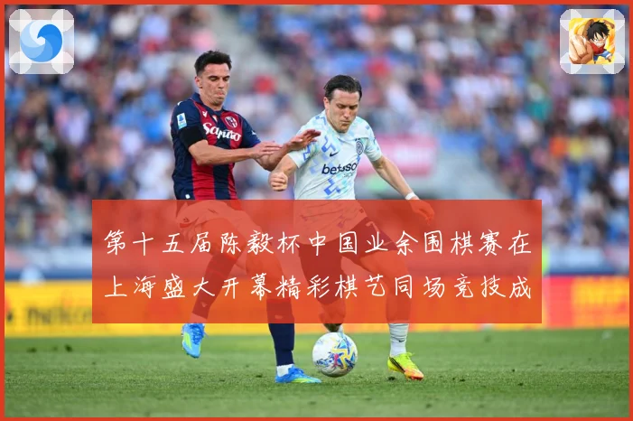 第十五届陈毅杯中国业余围棋赛在上海盛大开幕精彩棋艺同场竞技成长观察
