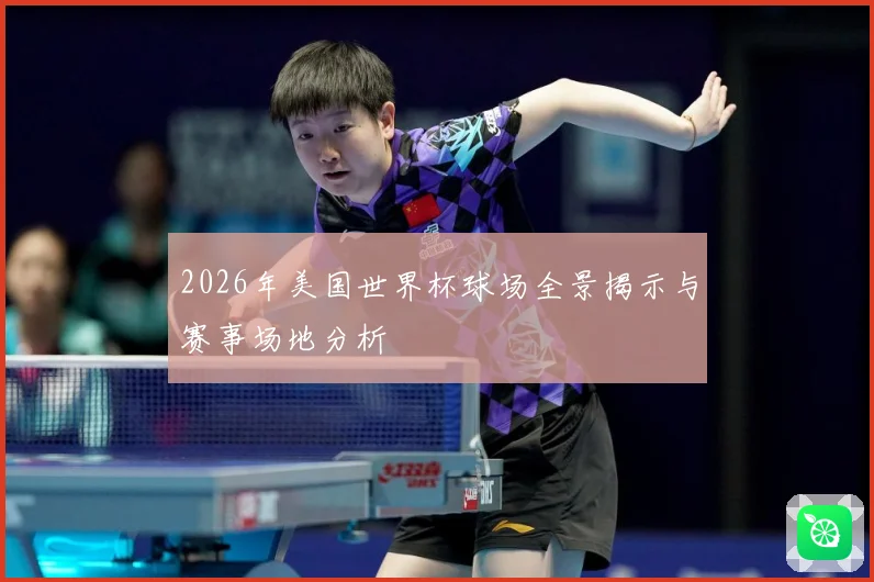 2026年美国世界杯球场全景揭示与赛事场地分析