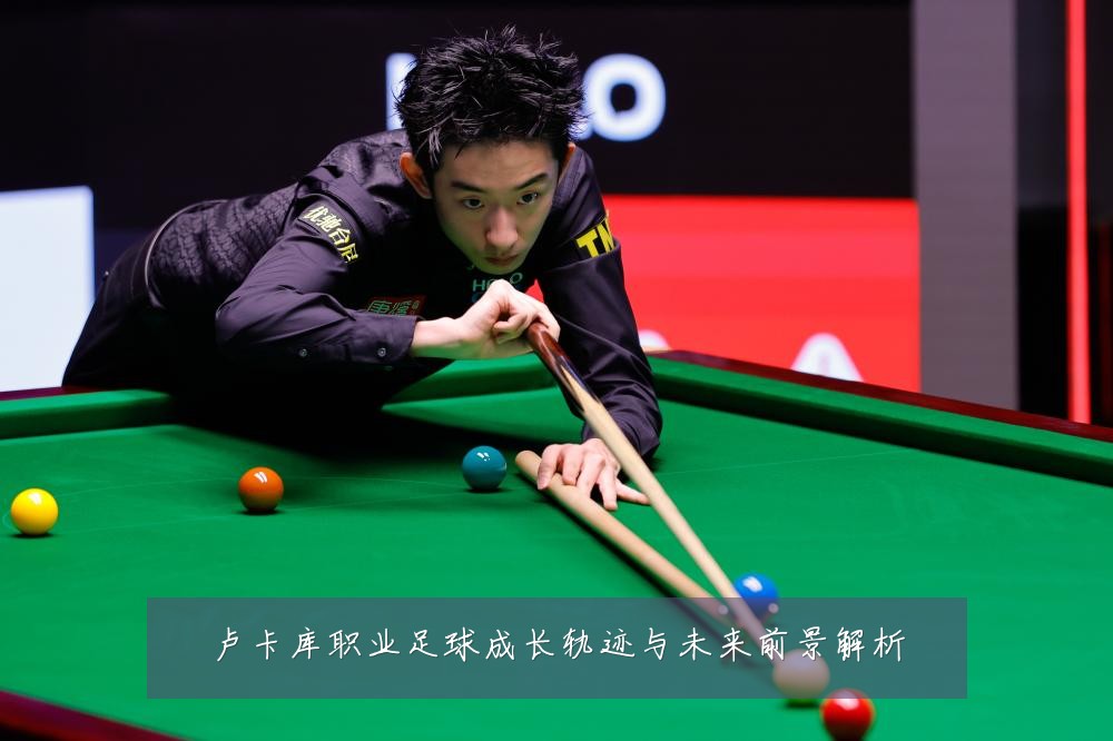 卢卡库职业足球成长轨迹与未来前景解析