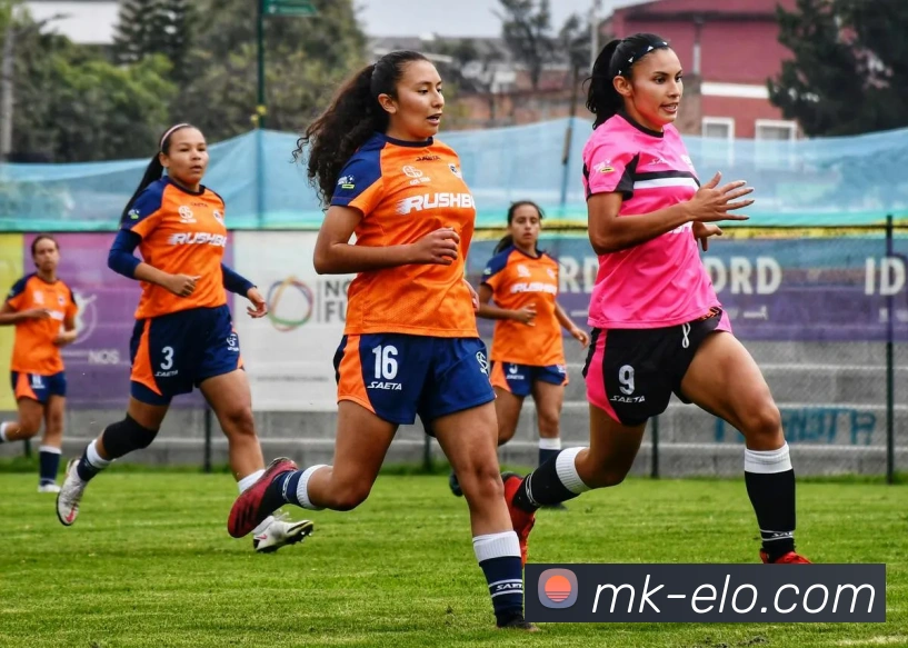 MK体育平台展示图